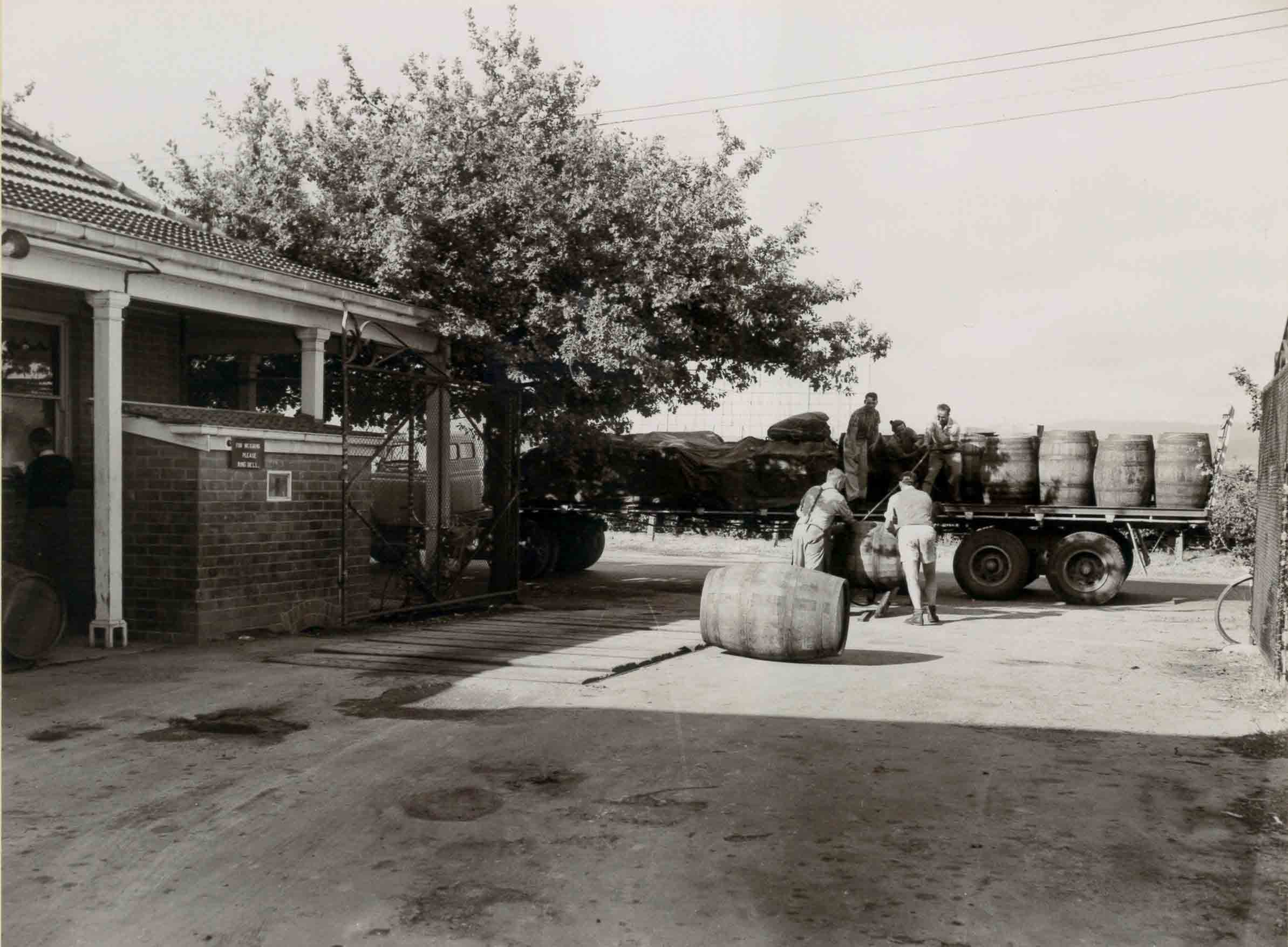 Loading Hogsheads at Hamiltons Ewell Winery 1950s